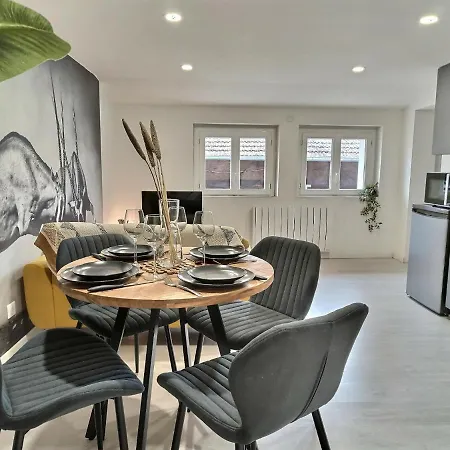 Le Safari - Parking Gratuit - Clim - Netflix Apartament *